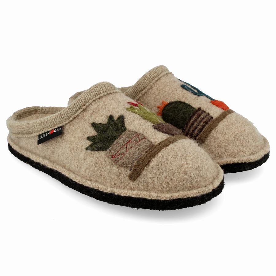 Haflinger Cactus Uomo Pantofole Novelty Beige | DDJ10032LO