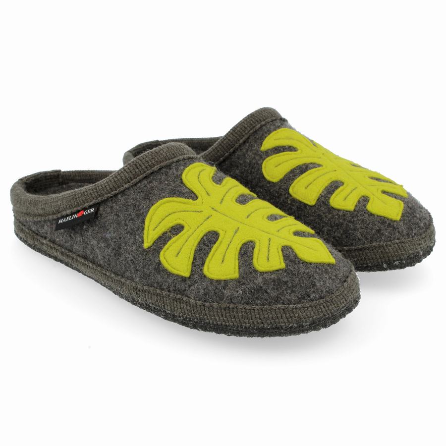 Haflinger Monstera Uomo Pantofole Novelty Grigie | CEB1015XU