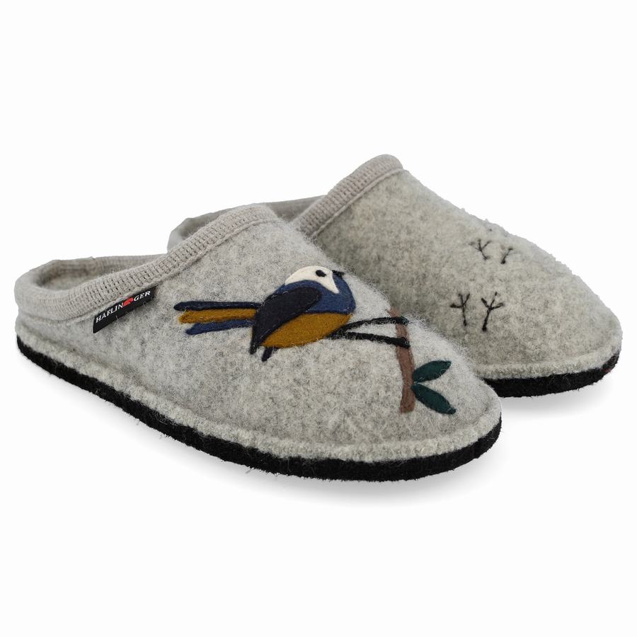 Haflinger Songbird Donna Pantofole Novelty Argento Grigie | KTG664LM