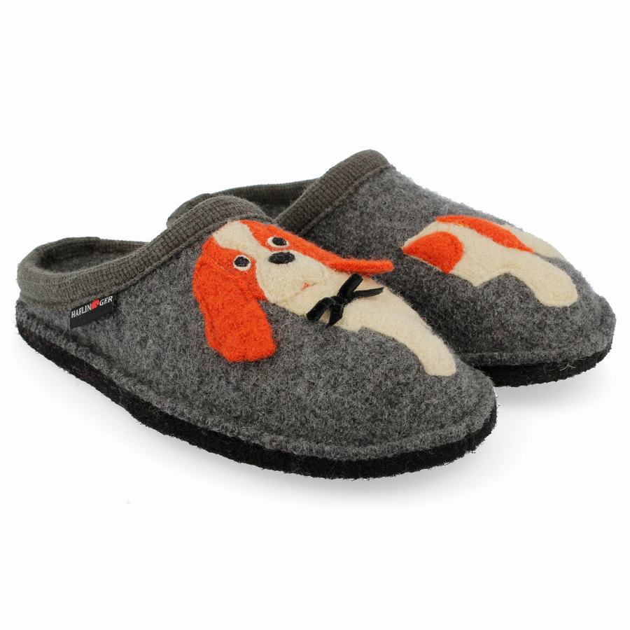 Haflinger Spaniel Donna Pantofole Novelty Grigie | VXD7120WY